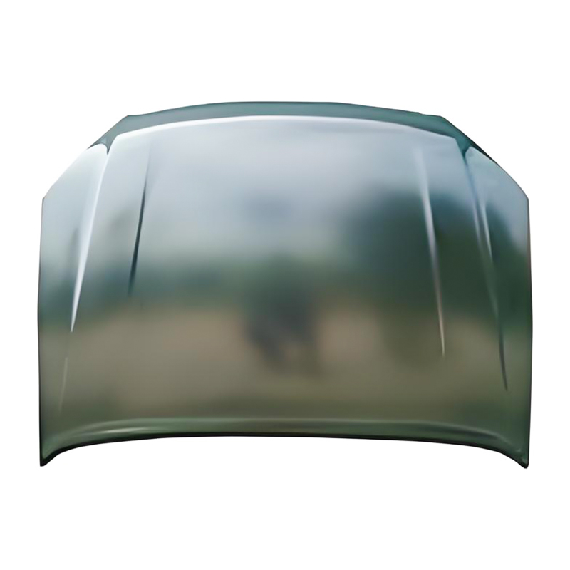 هود D-MAX 12