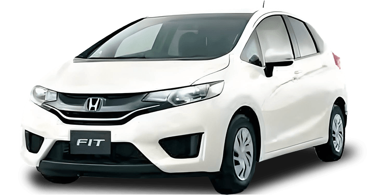 FIT 14
